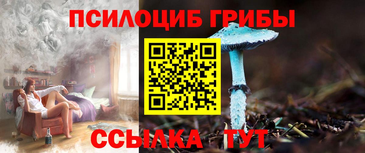 Псилоцибиновые грибы ЛСД  Псилоцибиновые грибы мицелий  Вход с VPN  Знаменск 